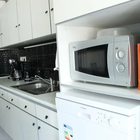 House Alexandros Apartment *
